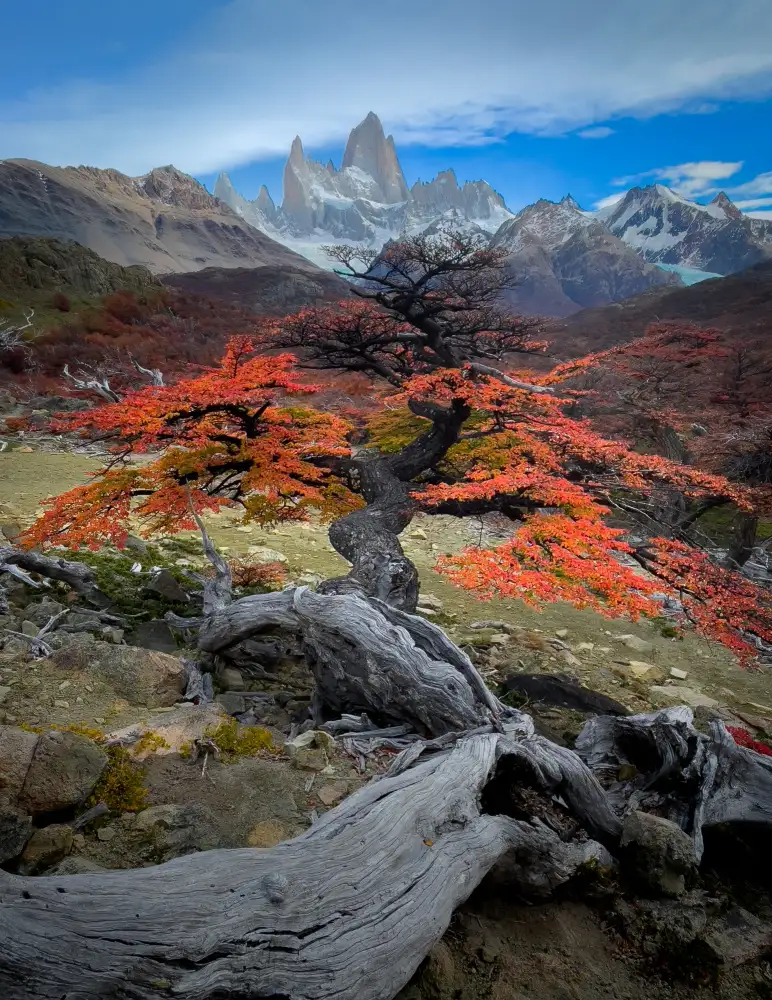 Li, Bing: Podzim ve Fitz Roy