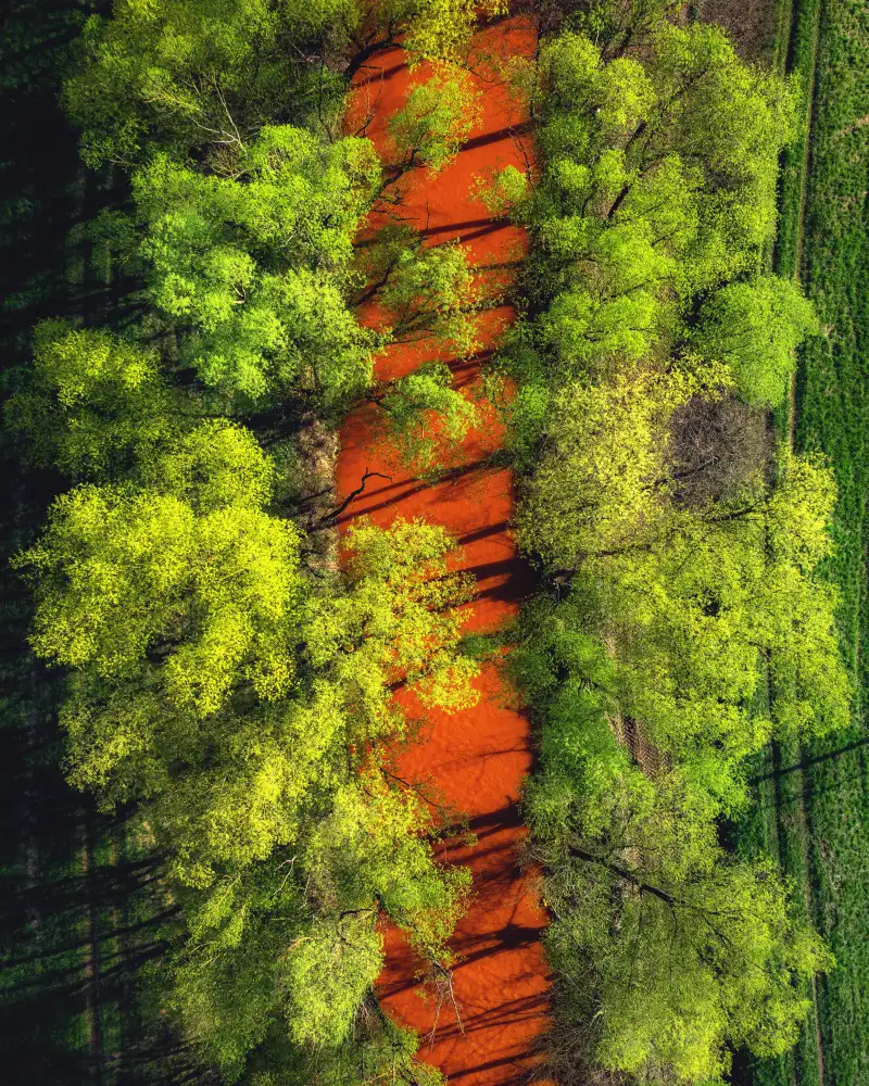 Gerec, Pali: ...Beauté perverse...