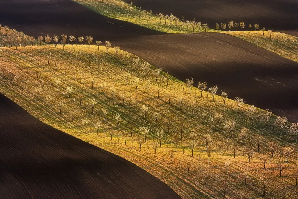 Morávek, Martin: Onde della Moravia Toscana #2