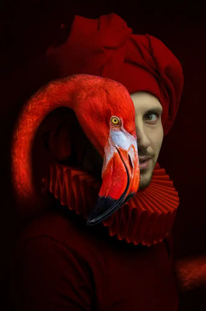 Chis, Adrian Paul: Flamenco rojo