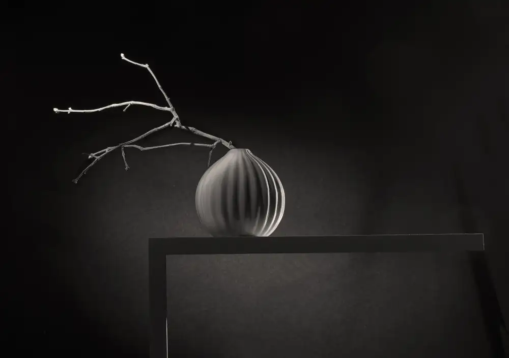 Popov, Evgeniy: From the series From the life of a small shelf