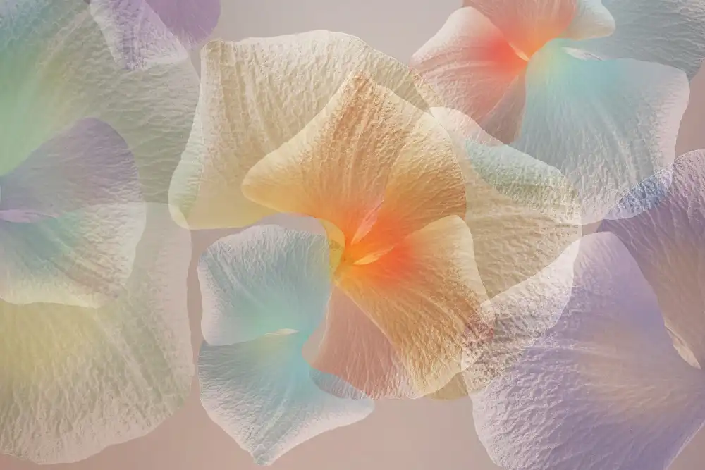 Shumilova, Ludmila: Pastellblumig