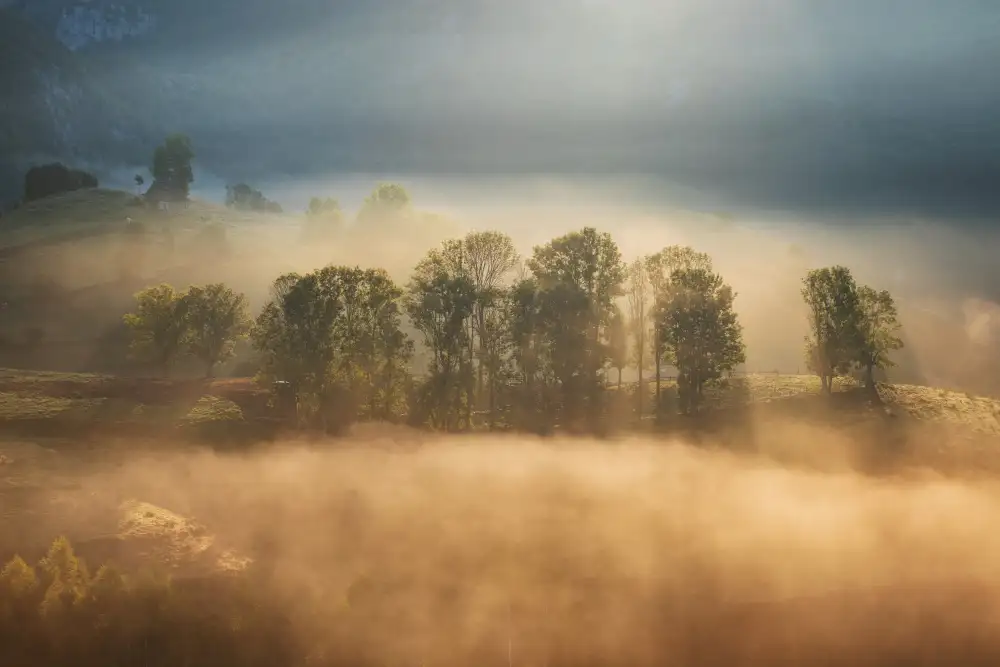 Coman, Ionut Alexandru: Sonnenaufgangsschleier