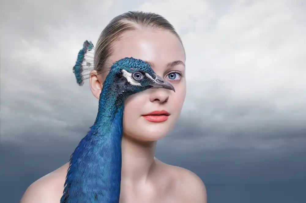 Egger, Marcel: pavo realojo
