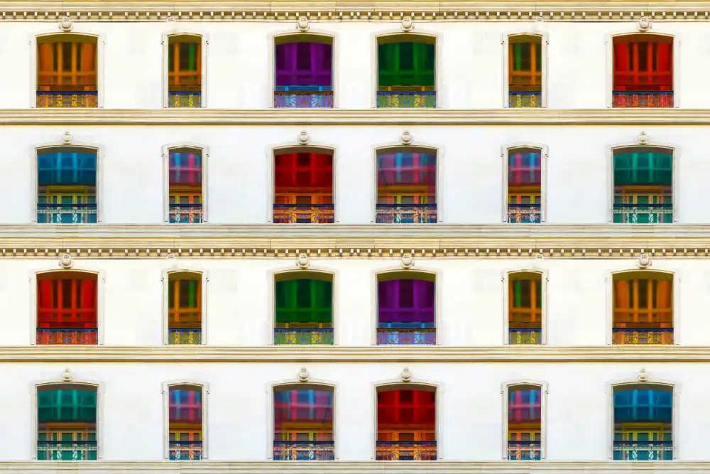 Shrayer, Igor: Pariser Fenster