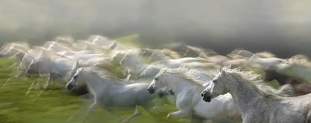 Malovrh, Milan: Im Galopp