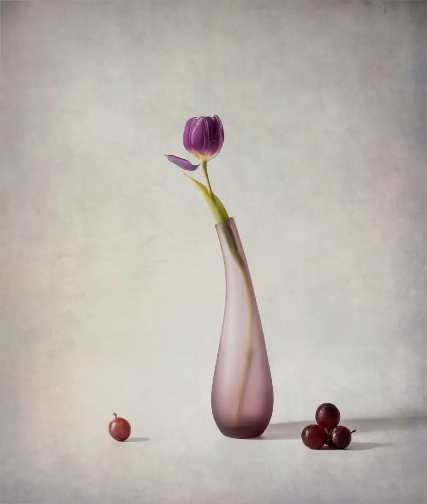 May, G.: tulipán y uvas