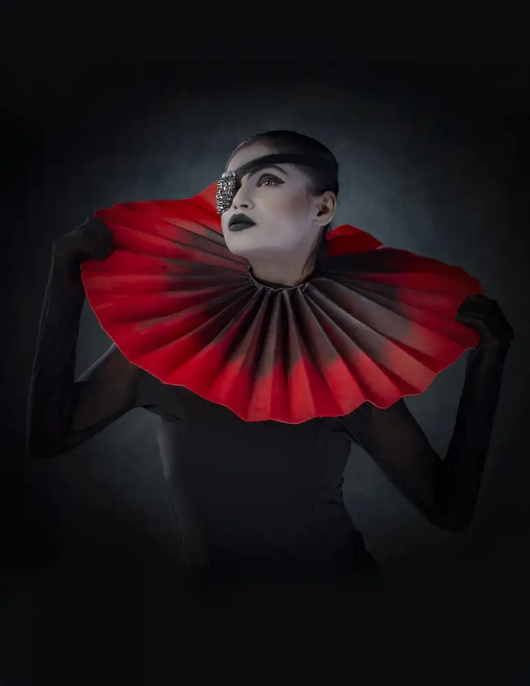 CHATTOPADHYAY, DEBASISH: Séries BAT WOMAN