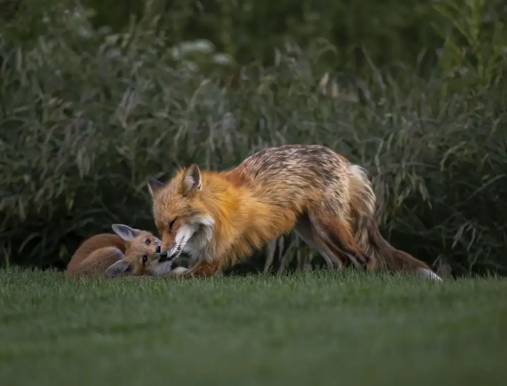 Tseng, Judy: Warm moment