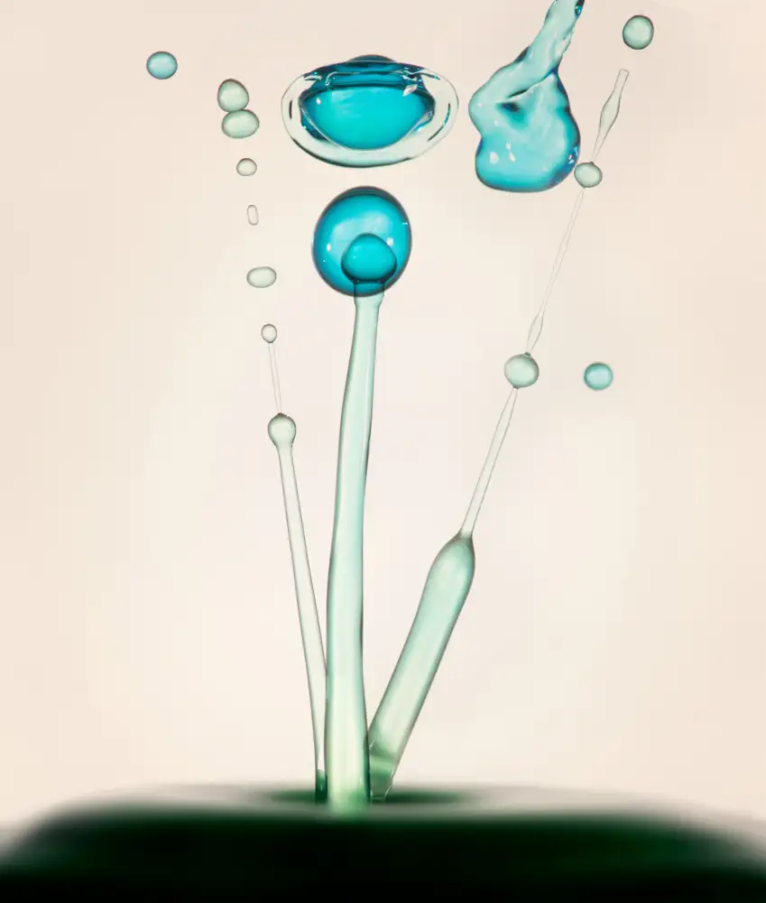 TaranSohal: Gotas de vida