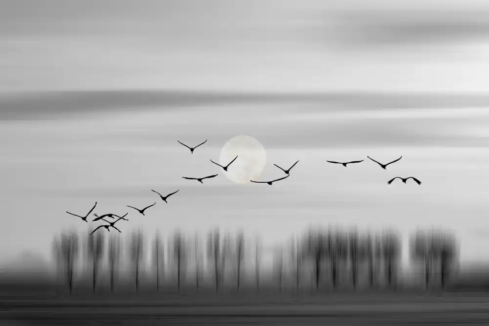 Smeets, Wijers, Wilma: ¡Volar libre!
