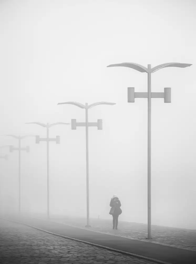 Niemiec, Anna: Marchez dans le brouillard.
