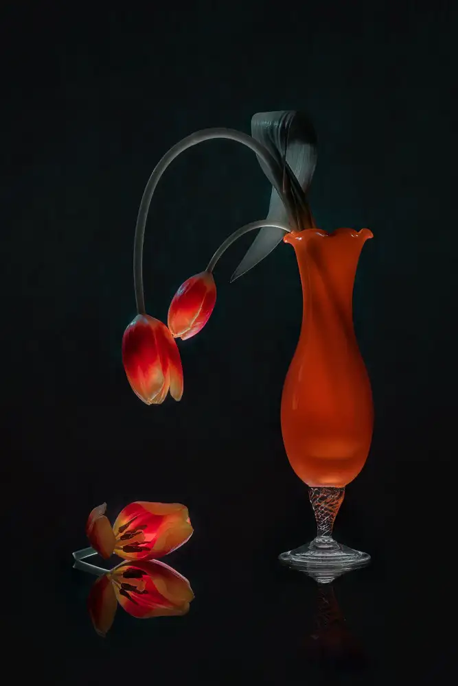 Jacobs, Lydia: Le rassemblement des tulipes