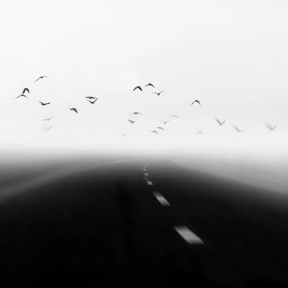 Nodeh, Mostafa: haste