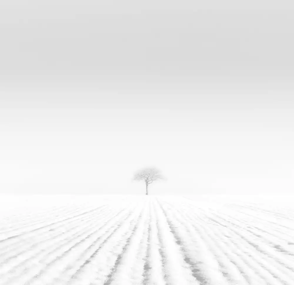 Nodeh, Mostafa: Cold
