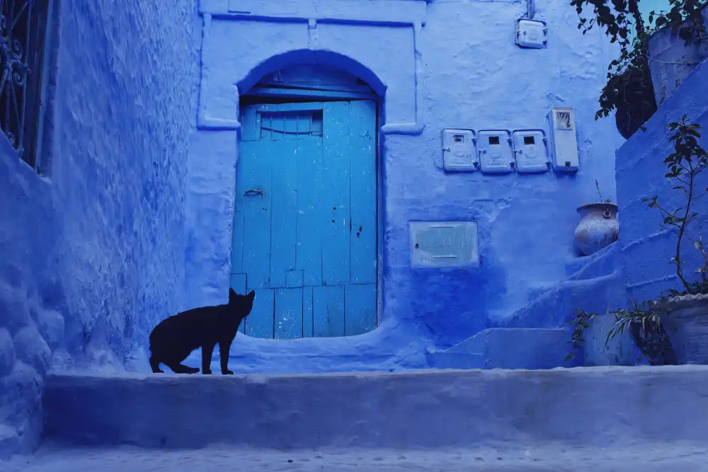 Buliga, Gina: Marocco: il silenzio della terra