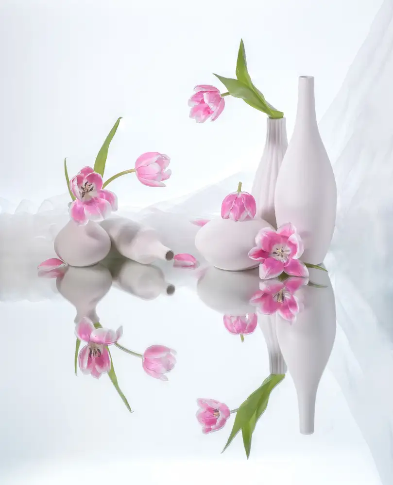 Sheng, Alice: still life 42