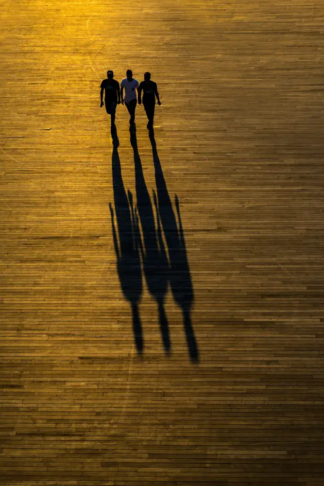 Pancareken, Yavuz: Shadows