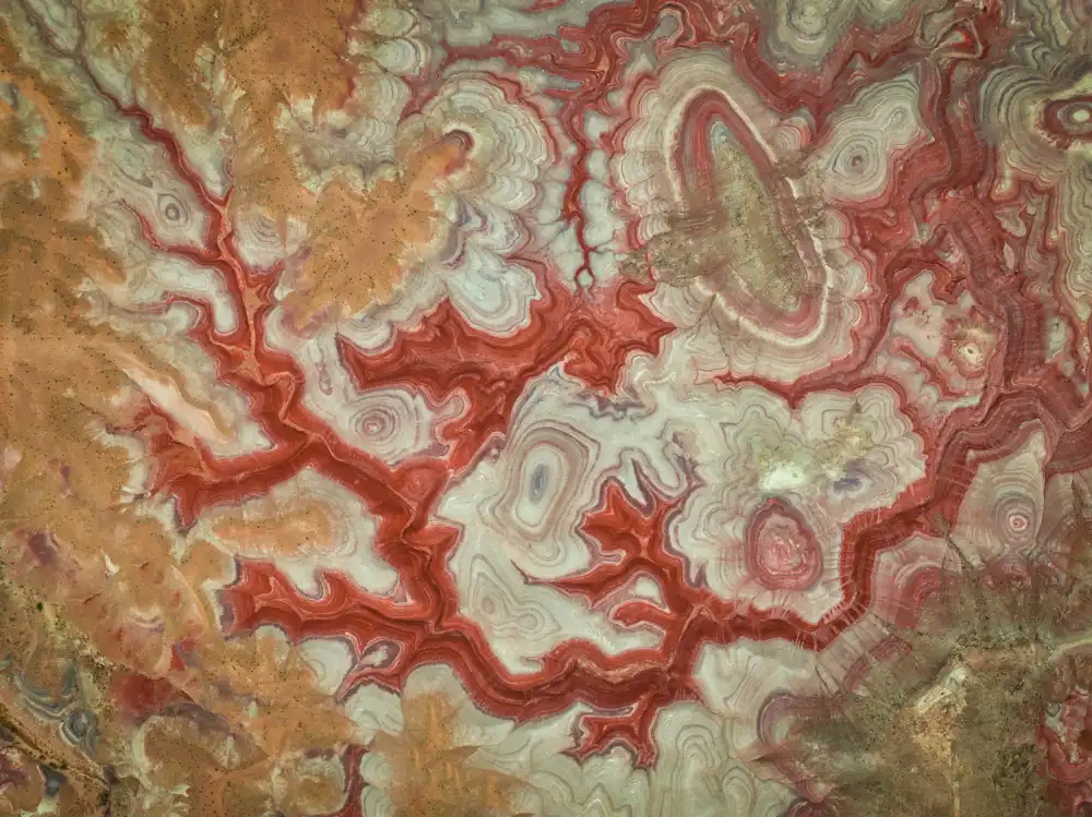 Zheng, Michael: Dragon Rouge des Badlands