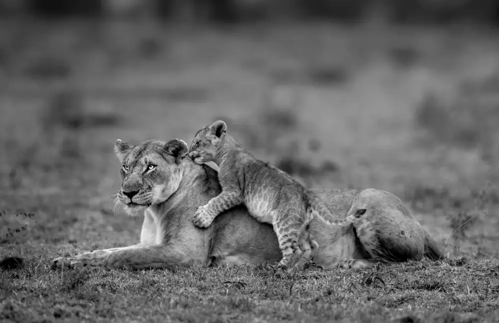 Roshkumar: Playtime with mum