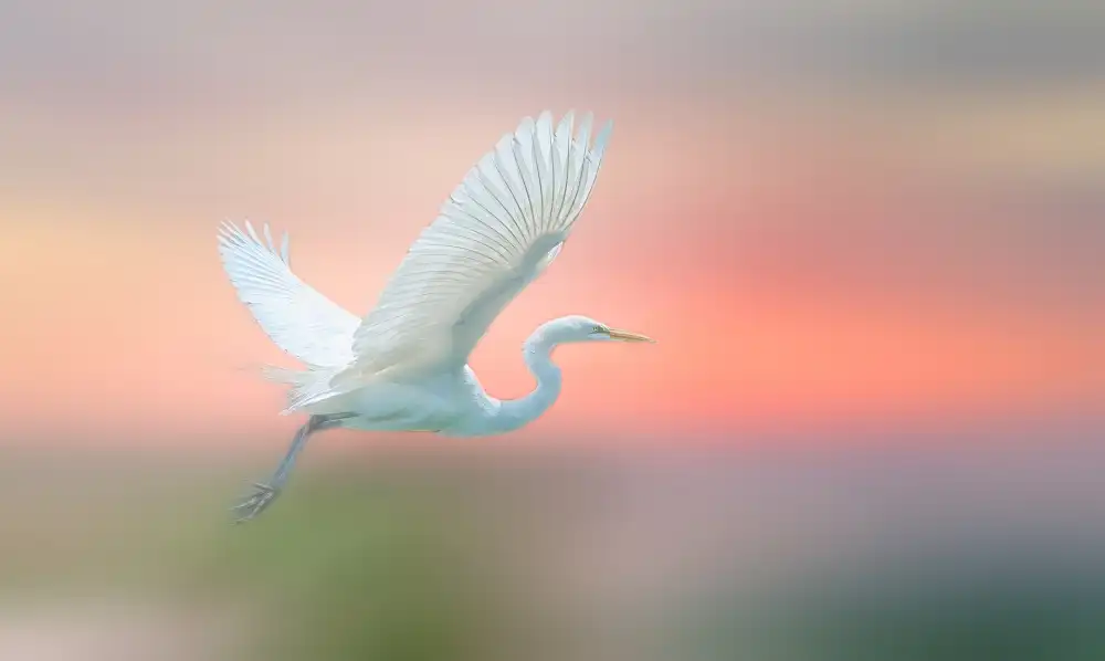 Lu, Ling: Morning dance