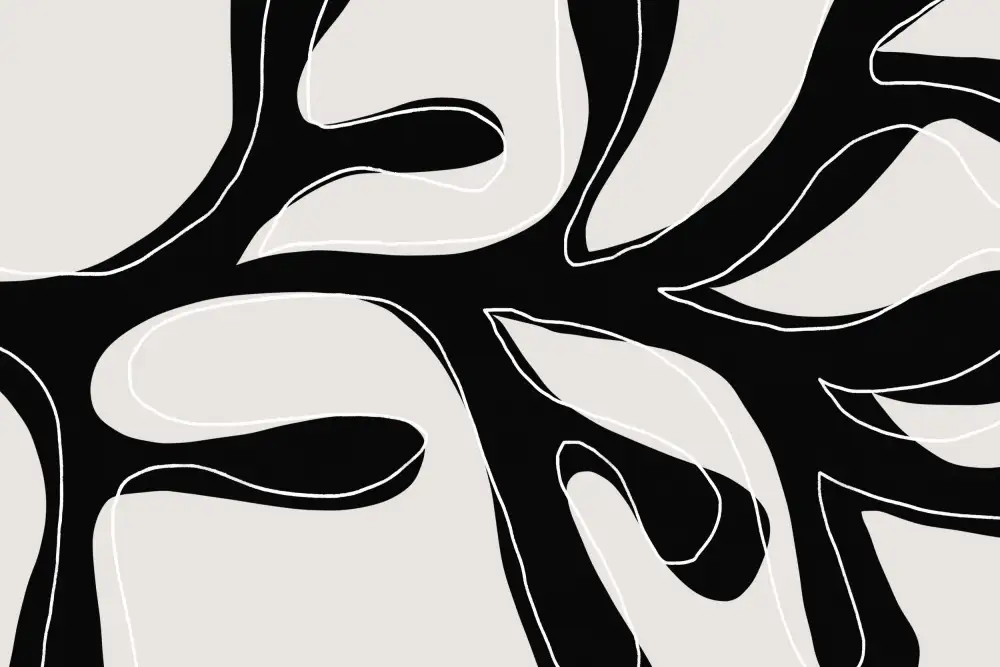 uplusmestudio: Ramoscello astratto in bianco e nero