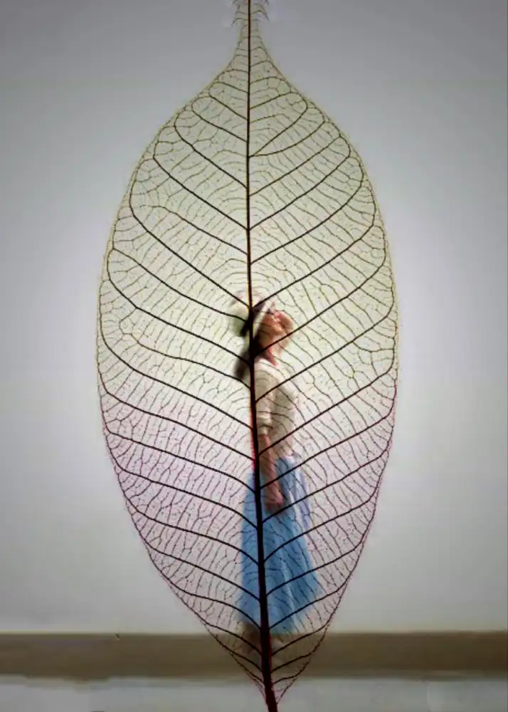 Weiwei: Gratitude