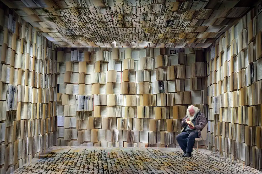 Dan, Ciupureanu: Books