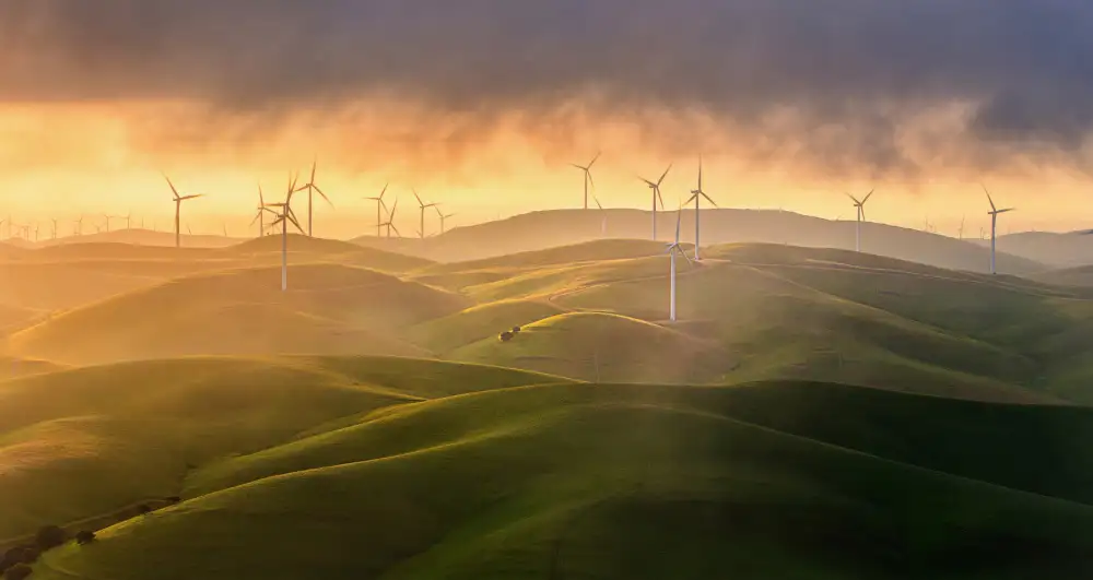 Mao, Dianne: Colinas del molino de viento Mistry