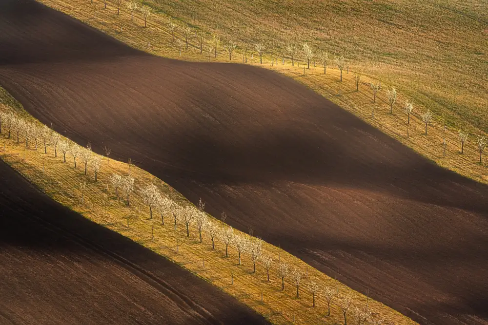 Morávek, Martin: Onde della Moravia Toscana #6