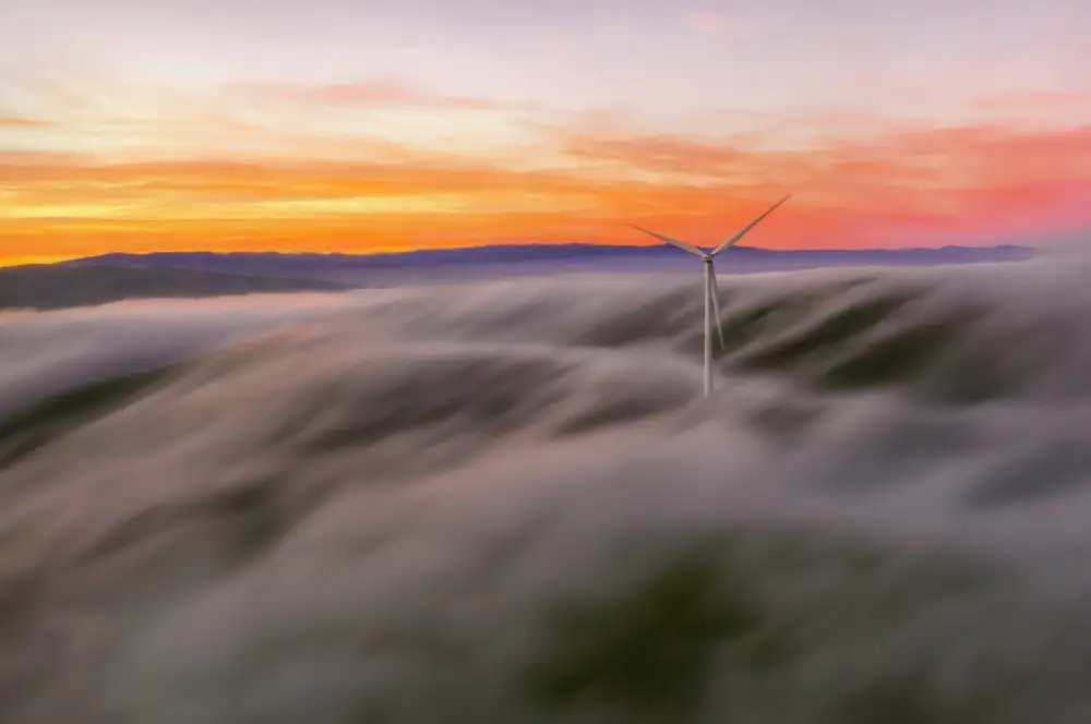 Qiu, Jenny: A Windmill in the Fog