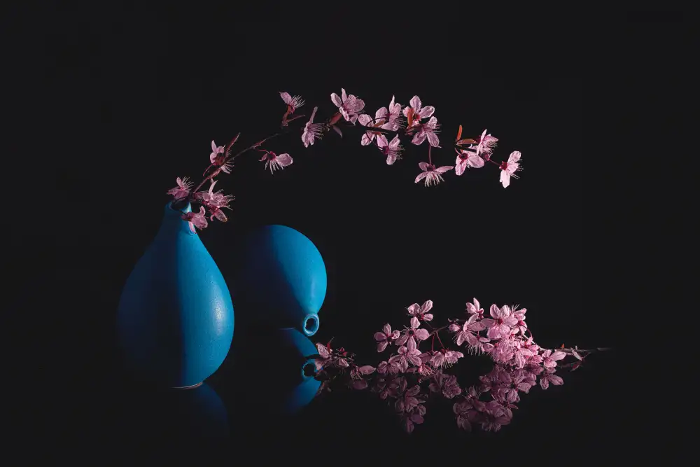 Jacobs, Lydia: Prunus en fleurs
