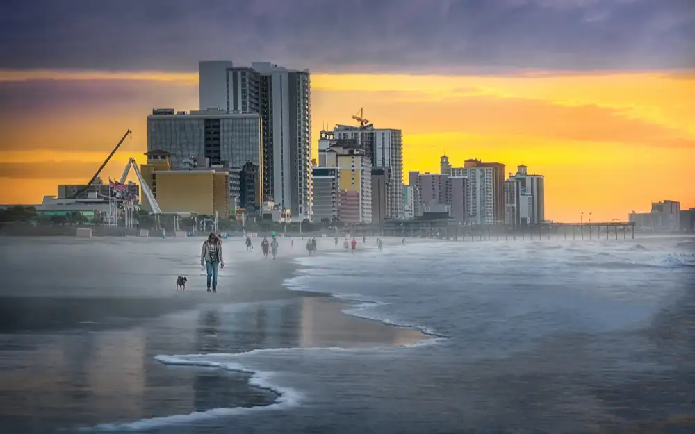 Yang, Jianping: Pasear perros en la playa