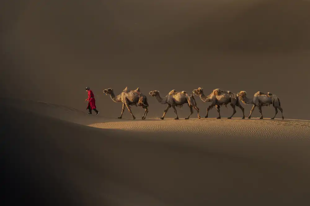 WONG, LIANG TWEE: Moving off