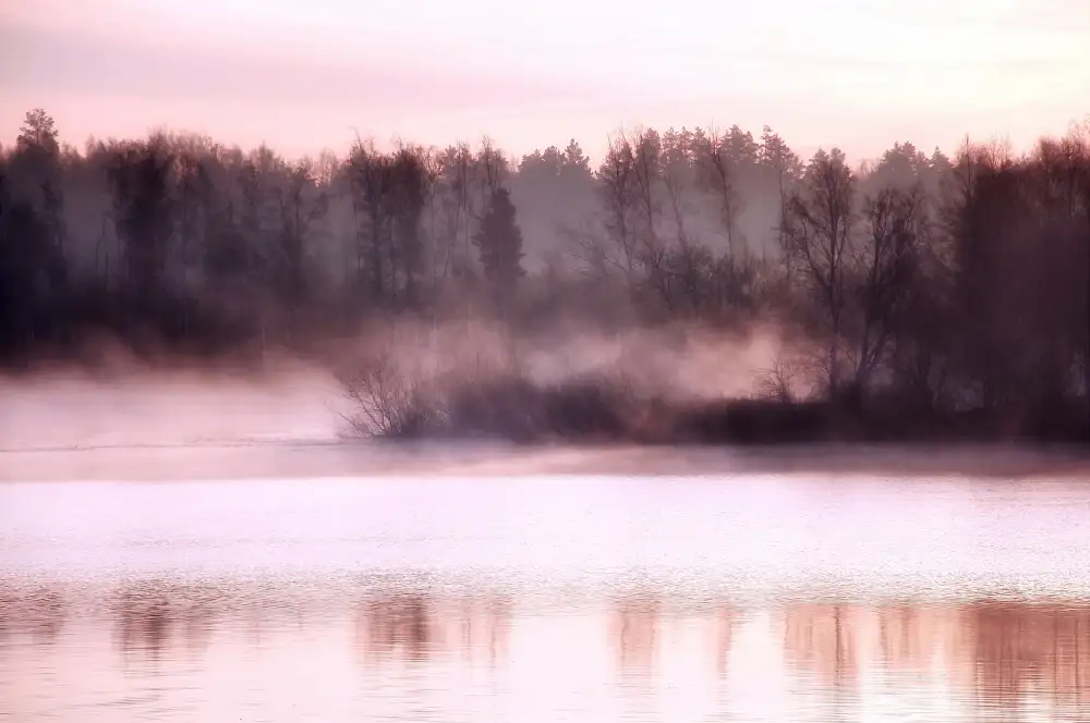 Heg, Zina: Silence