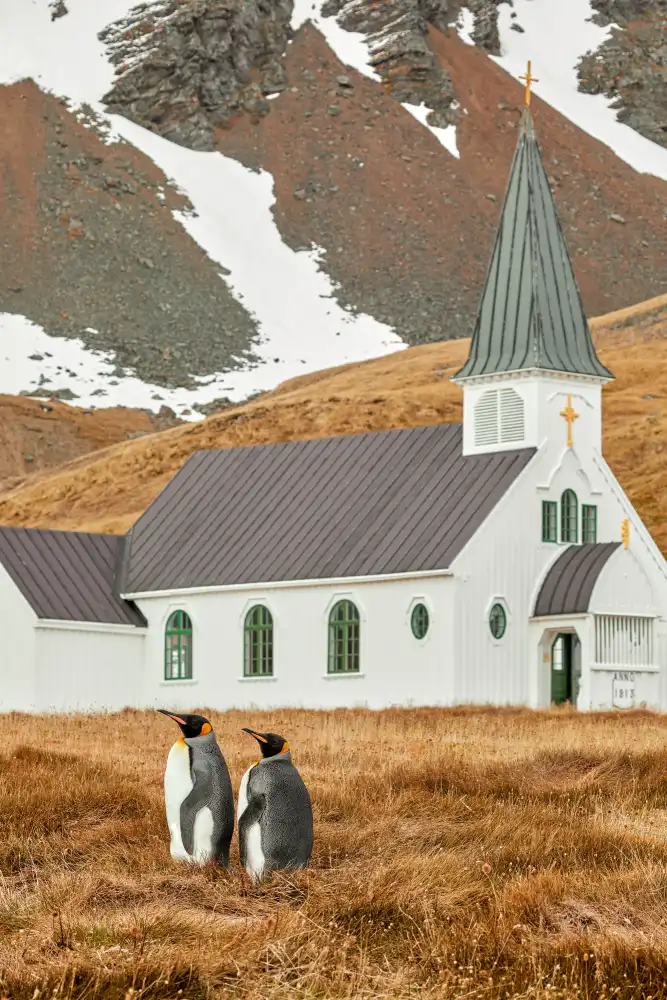 Wiolett: On the way to church