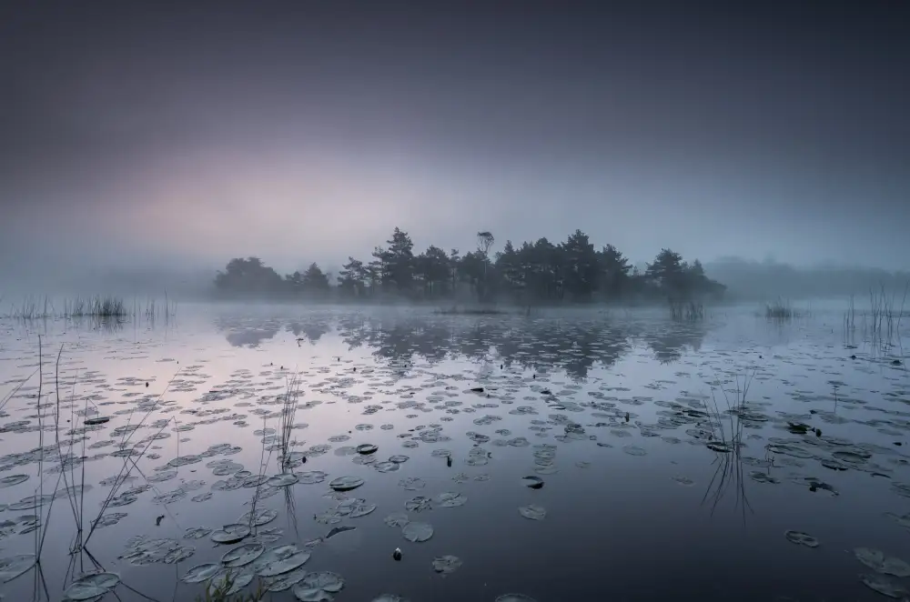 Pettersson, Benny: Alba sul lago Haketjärn