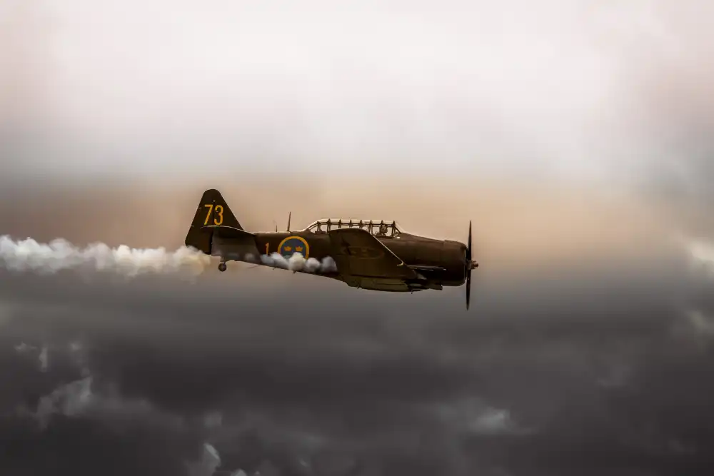 Wicklow, Jørgen: Spettacolo aereo Roskilde