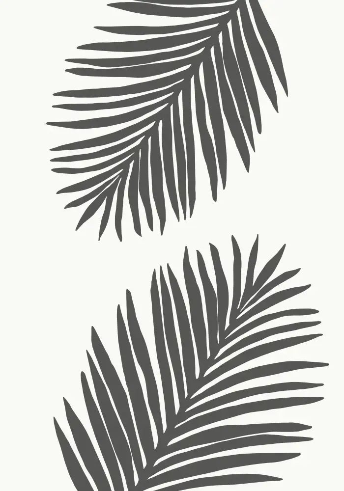 Studio, Pictufy: PALMENBLATT 12 GRAPHITGRAU