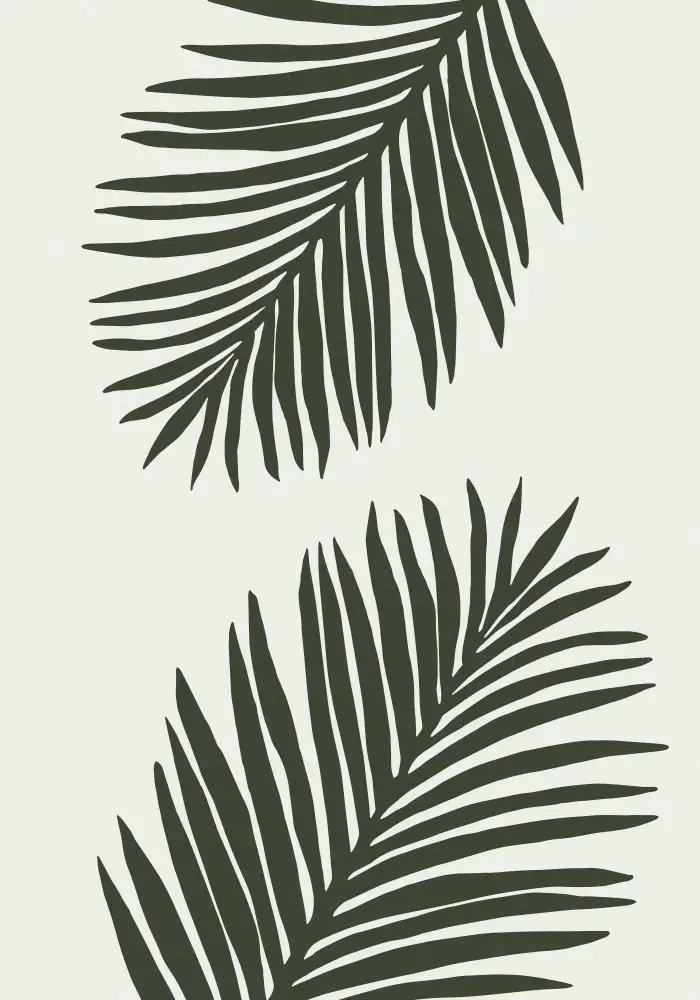 Studio, Pictufy: FOGLIA DI PALMA 04 VERDE