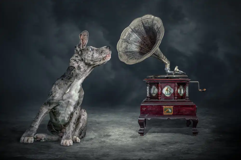 Egger, Marcel: MusicaCane