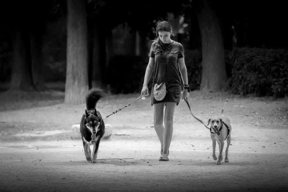 Silveira, Fernando: Mujer joven paseando a dos perros