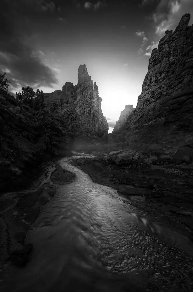 P., Ruiqing: Arroyo de cebolla