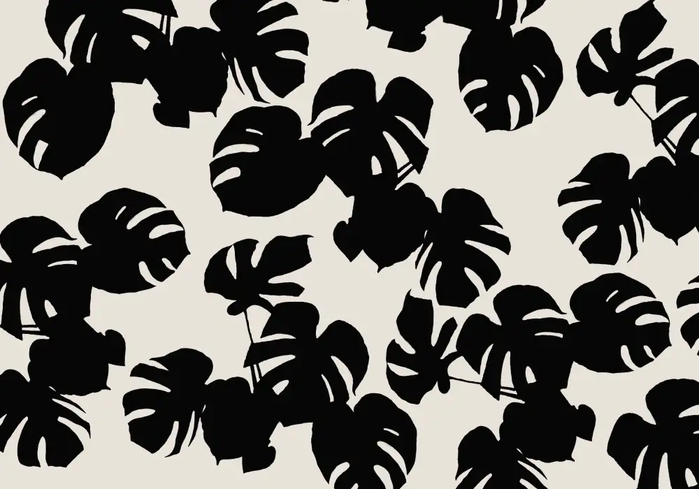 Studio, Pictufy: Monstera Leaves Black