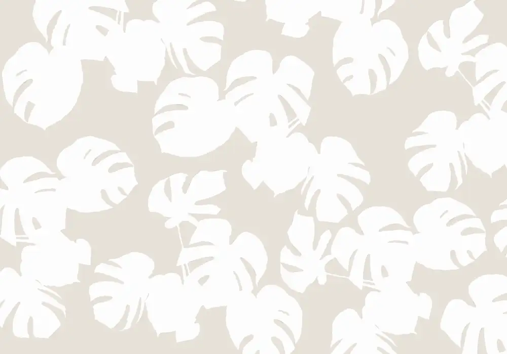 Studio, Pictufy: Monstera-Blätter weiß