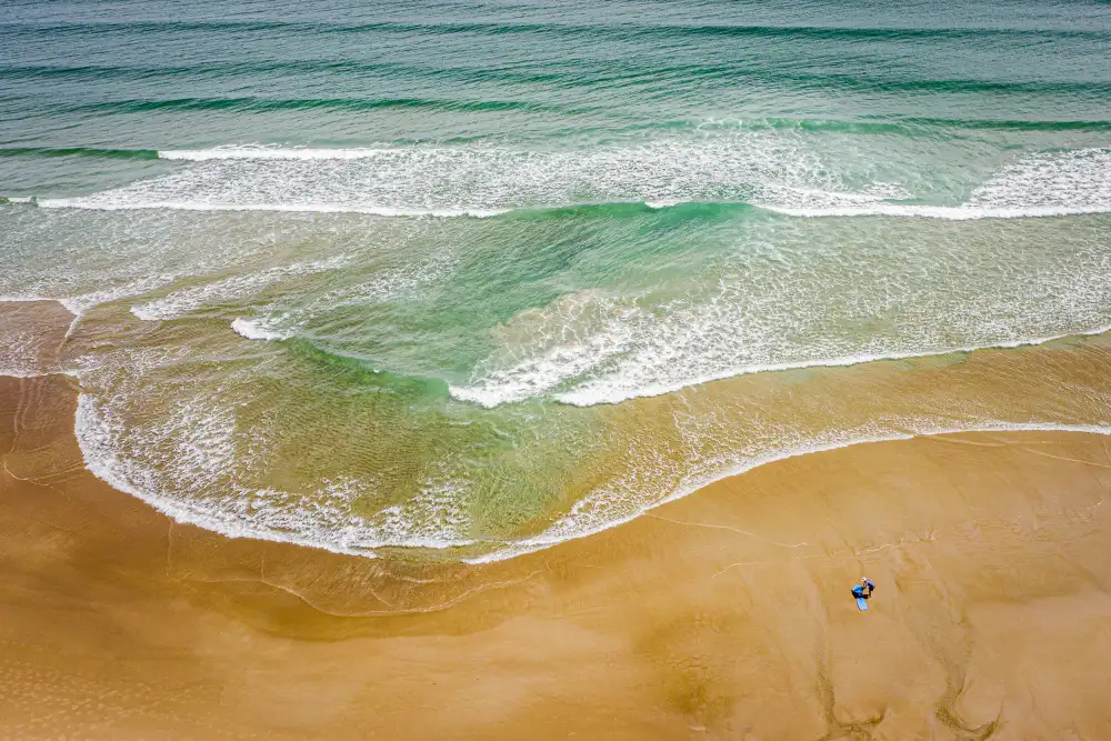 Esposito, Ed: Wave Anticipation