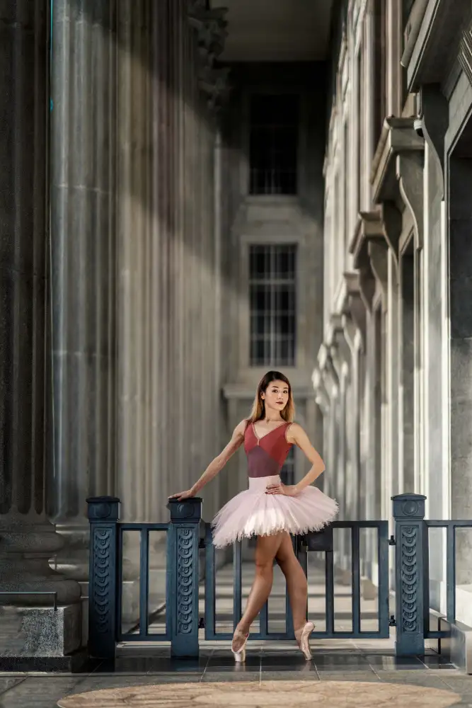 Ong, E S: El ultimo baile