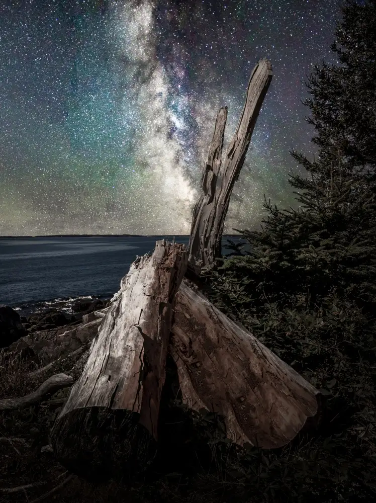 Esposito, Ed: Milky Way Coast