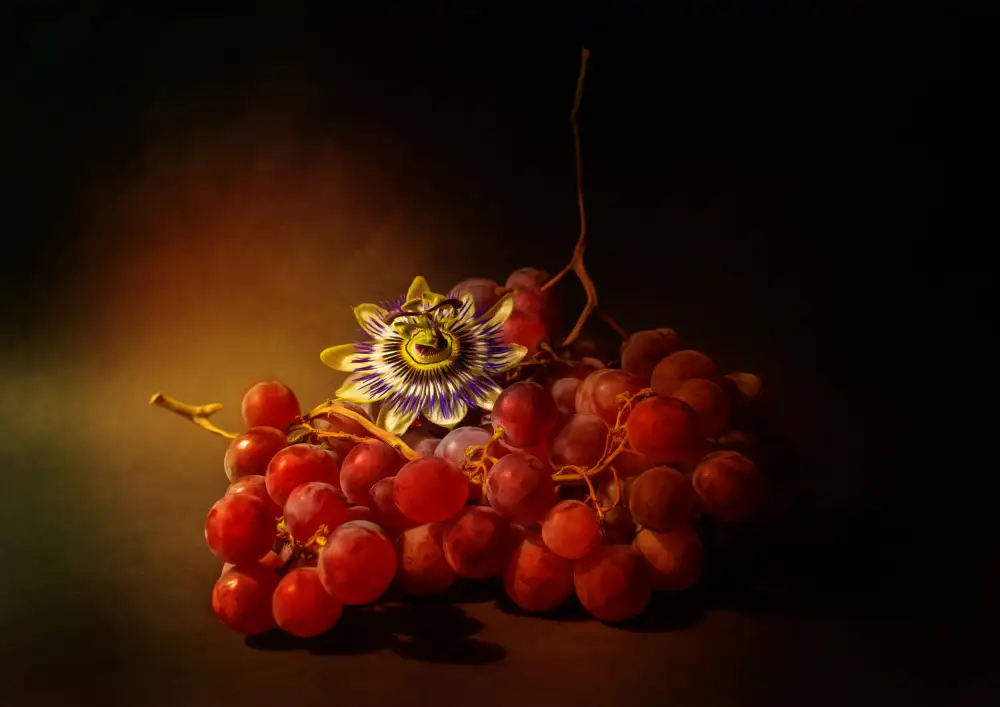 Shumilova, Ludmila: Rote Trauben und Passionsblume