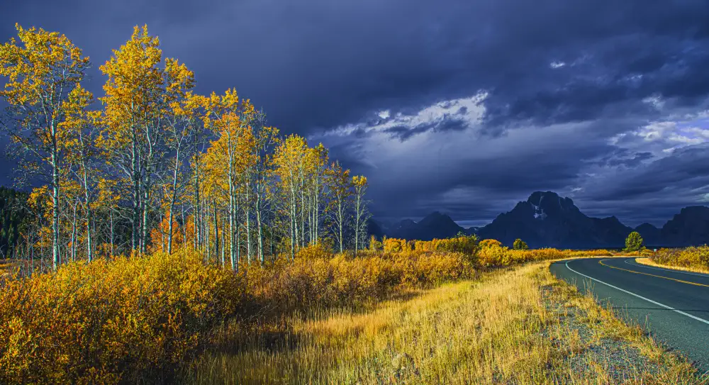 Yu, Bing: Colores de otoño antes de una tormenta